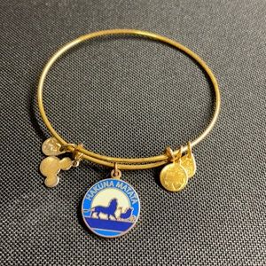 Alex and ani “Hakuna Matata” bangle